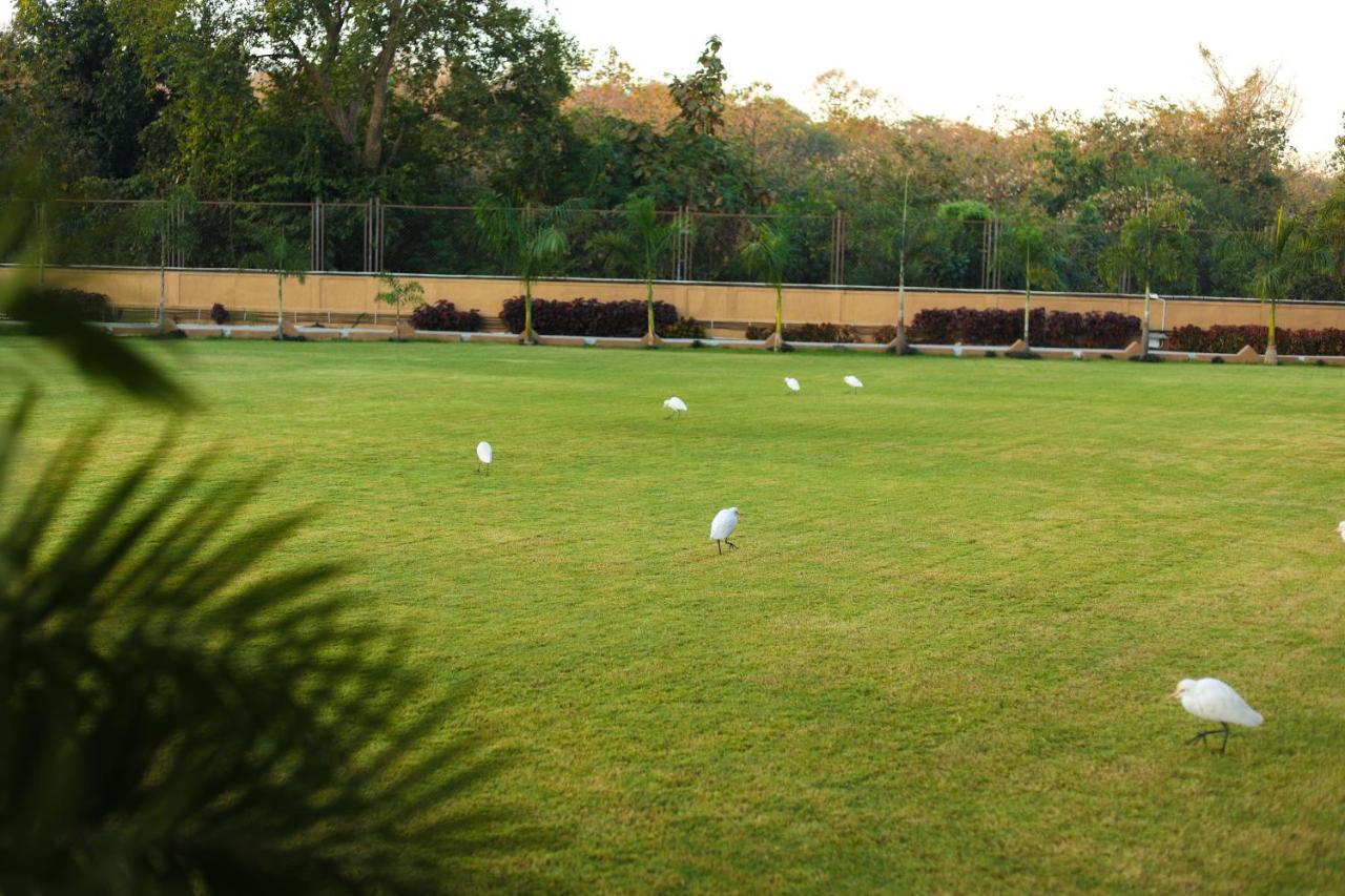 Jagira Ananta Elite , Sasan Gir Hotel Chitrod Bagian luar foto